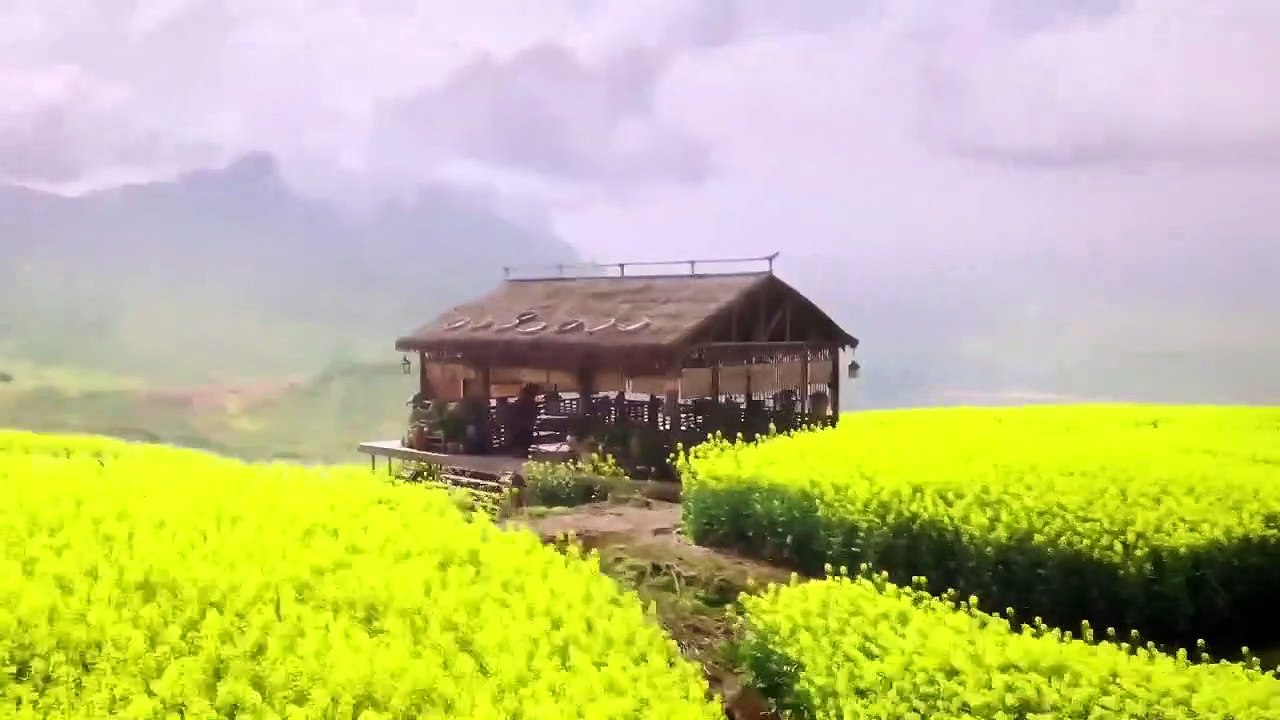 절대쌍교2020 1화 한글자막 다시 보기 완결 전편 넷플릭스 다운
