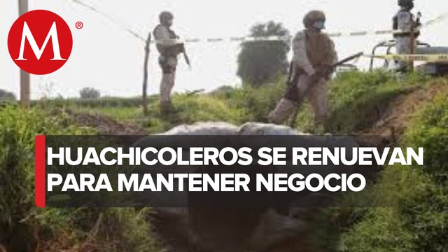 Túneles, nueva modalidad para huachicoleo en Hidalgo, Puebla, Guanajuato y NL