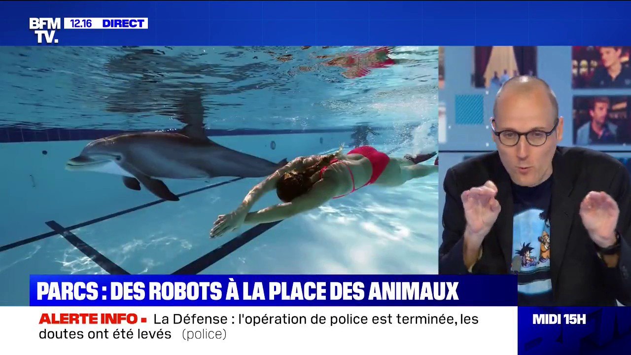 Dans les parcs, les cirques et les zoo, des robots pourraient remplacer les animaux