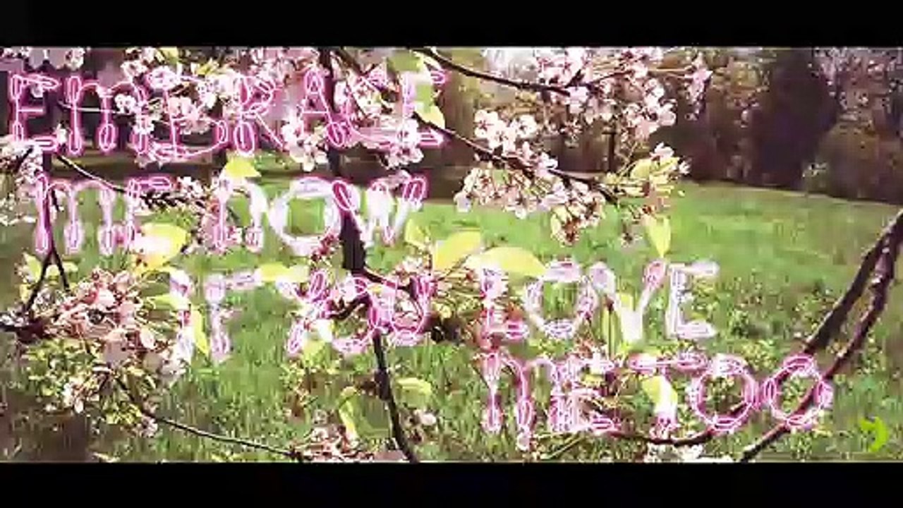 The colour of your love | GREEN, electro life | Max Léonidas (Diaporama)