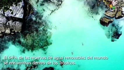 29 de junio se celebra el Día Internacional de los Trópicos