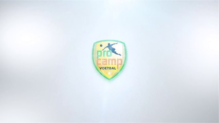 PC -  FUN (bal passen)