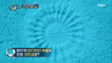 해저 25m 아래의 미스터리 서클의 정체, 그것이 알고싶ZOO?