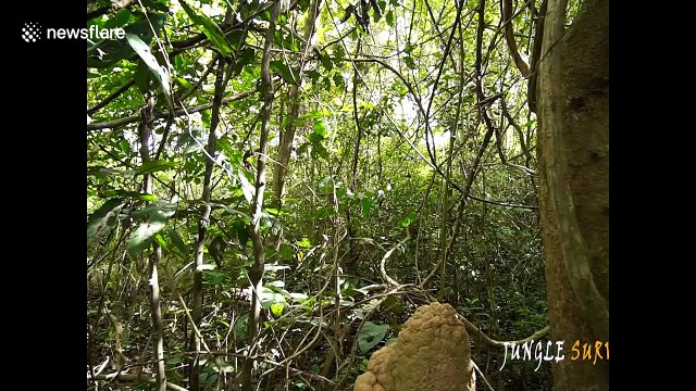 Cambodia craftsman builds impressive underground tunnel house