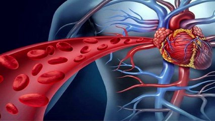 mantente saludable con las propiedades del ajo