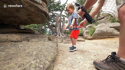 Friendly wild chipmunks befriend little boy in Rocky Mountain National Park