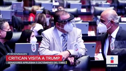 ¿Quieren hacerle el caldo gordo a Donald Trump?