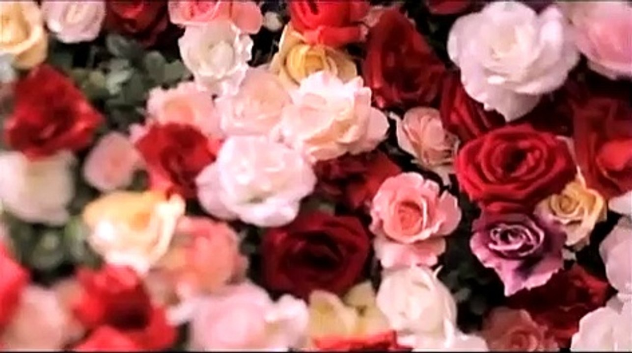Bright Flower　