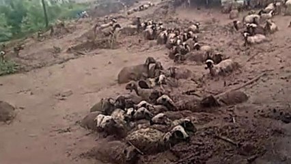 Acı olay! Sele kapılarak öldüler