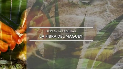 Productos de aseo personal con fibra de maguey