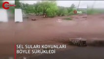 Sel suları koyunları böyle sürükledi