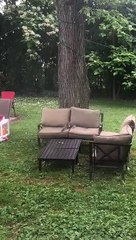 Squirrels Feud For The Nut