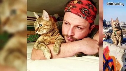 Ciclista encontró una gata y desde entonces la lleva de viaje por el mundo