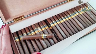 Xì gà Cuba mini Cohiba Short Humidor box 50 limited giá rẻ nhất thích hợp hhút hàng ngày