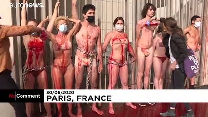 شاهد: نشطاء "تمرد ضد الانقراض" يتظاهرون في العاصمة الفرنسية باريس