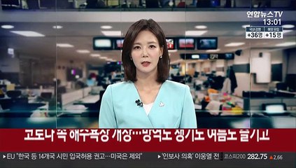 코로나사태 속 해수욕장 개장…방역도 챙기고 여름도 즐기고