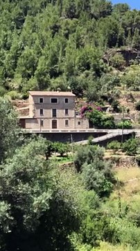 Summer in Majorca 2 | Anthony S Casey Singapore