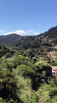 Summer in Majorca 1 | Anthony S Casey Singapore