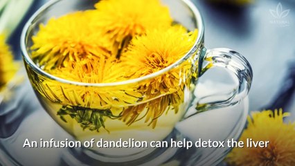 6 Ways Dandelion Tea Could Be Good for You