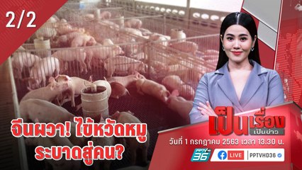 เป็นเรื่องเป็นข่าว | นักวิจัยจีนพบ “ไข้หวัดหมูสายพันธุ์ใหม่” (2/2)