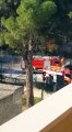 Andria: fumo nero invade via Corato, brucia veicolo
