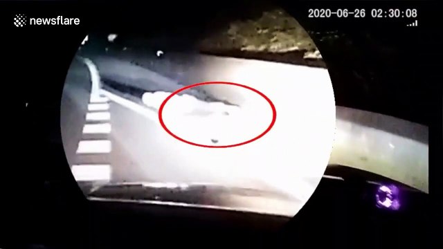 Chinese motorist spotted doing push-ups on highway to wake himself up