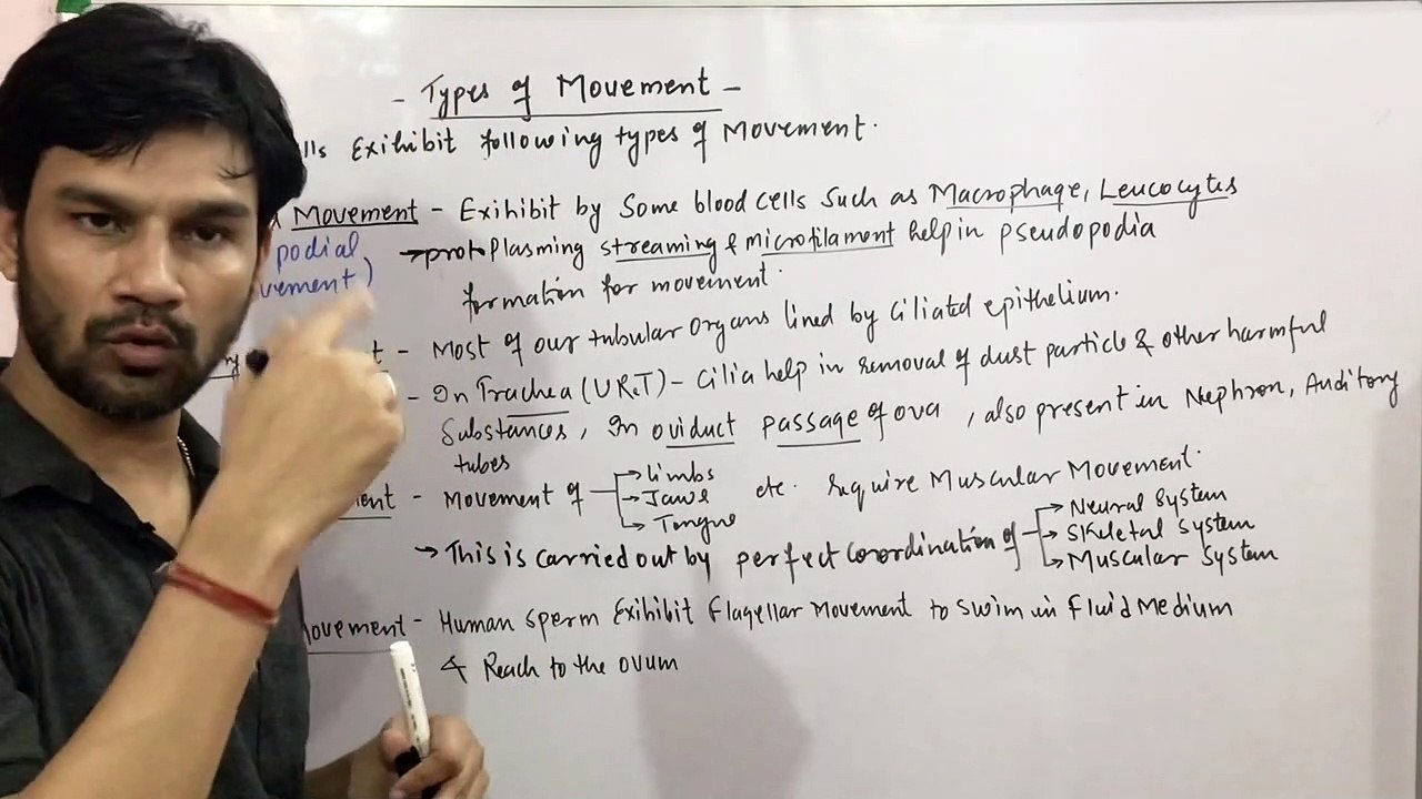 Locomotion & Movement Chapter:Part-8(Types of Movements:amoeboid/ciliary/muscularmovement) CBSE/NEET/11th