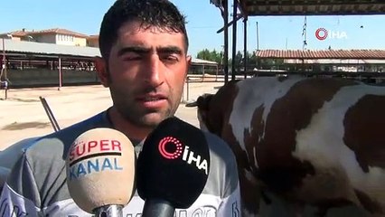 Bir tonluk "Boncuk" geldiği gibi satıldı