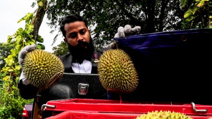 Vikey, the magician-turned-durian seller