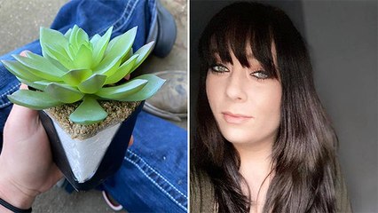 पानी देकर पौधे की देखभाल करती रही महिला, दो साल बाद पता चला नकली है । Boldsky