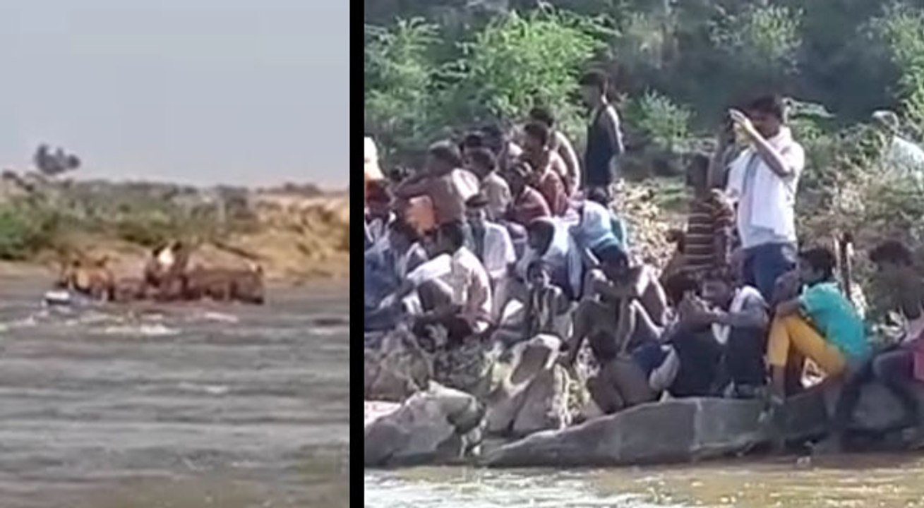 मानसून अलर्ट: नदी के बहाव में फंस गया ट्रैक्टर,...