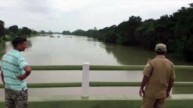 El monzón pone en peligro una de las reservas mundiales de rinocerontes