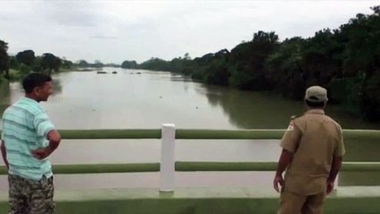 El monzón pone en peligro una de las reservas mundiales de rinocerontes
