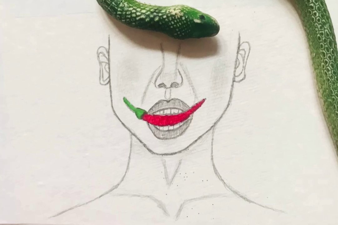 Drawing with pencil//chilly bite