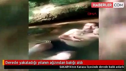 Herkes Türkiye'de görülen yılanlardan korkarken Sakarya'da bir kişi yılanın ağzından avını kaptı