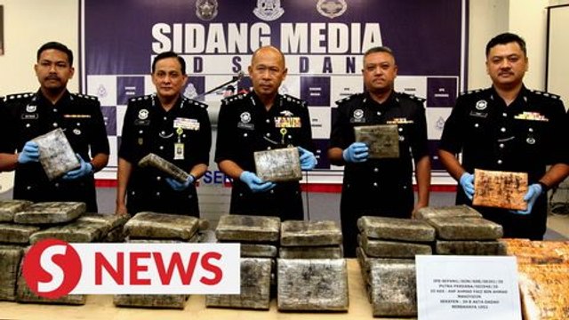 Serdang cops nab five, seize 150kg of ganja in raid