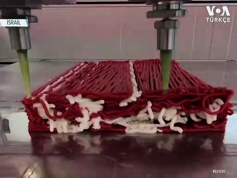 Bitki bazlı 3 Boyutlu Yazıcıda Üretilmiş Biftek İsteyen?