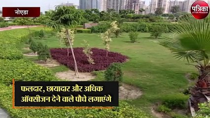 हरियाली के साथ ही पार्कों का आकर्षक बनाने की योजना