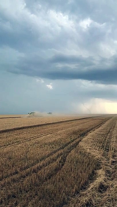 Farmers Don't Take Time Out for Tornado
