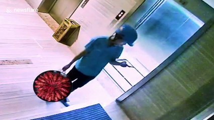 Crayfish escaping from plastic bags occupy office after Chinese employee forgets to collect her order