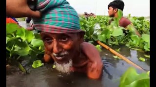 amazing fhishing videos in India.Indian people fish catching in the old river from bihar.