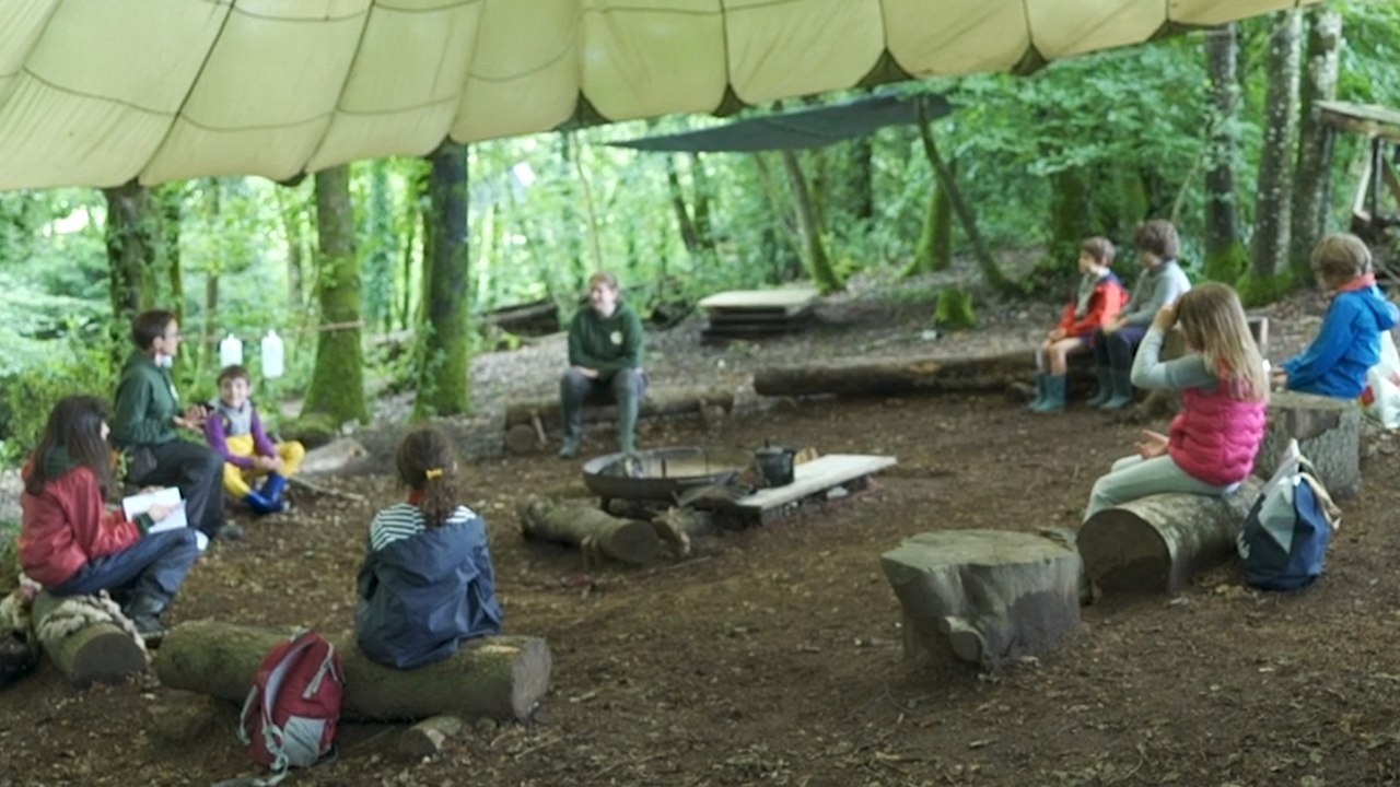 Mon école c'est une forêt | REPORTAGE