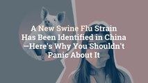A New Swine Flu Strain Has Been Identified in China—Here's Why You Shouldn't Panic About I