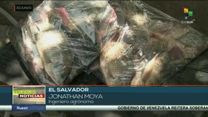 Zonas rurales de El Salvador desarrollan agroecología durante pandemia