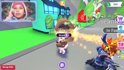 *NEW* MYSTERY PET Build Challenge In Adopt Me! (Roblox)