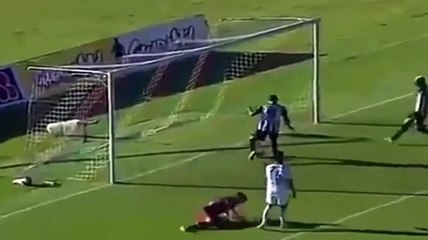 Como roubar um golo certo ao colega e festejar como se toda a jogada tivesse sido sua...