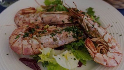 Everything You Need to Know About Royal Red Shrimp