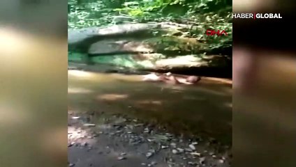 Sakarya'da yakaladığı yılanla balık kavgası yaptı