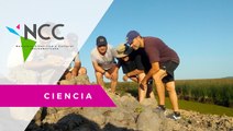 Des­cu­bren res­tos de una pla­ya de cin­co mil años de an­ti­güe­dad en Bue­nos Ai­res