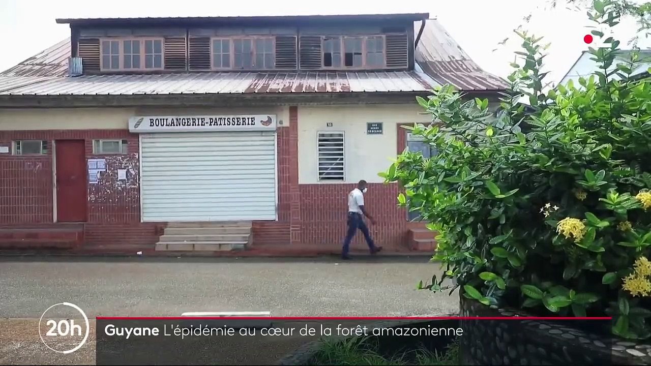 Guyane : l'épidémie au cœur de la forêt amazonienne